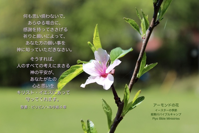 J4-8_Phil_4-6;7_何も思い煩わないで_Armond