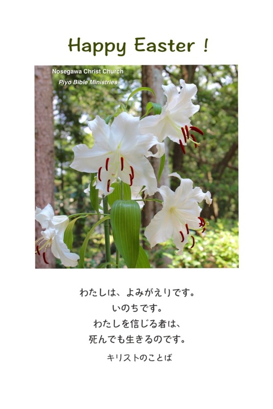 J4-11_John.11-25_Happy Easter_CasaBlanca