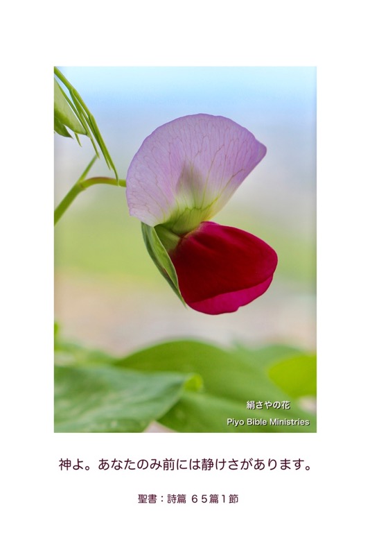 J4-12_Psa.65-1_あなたのみ前には静けさが