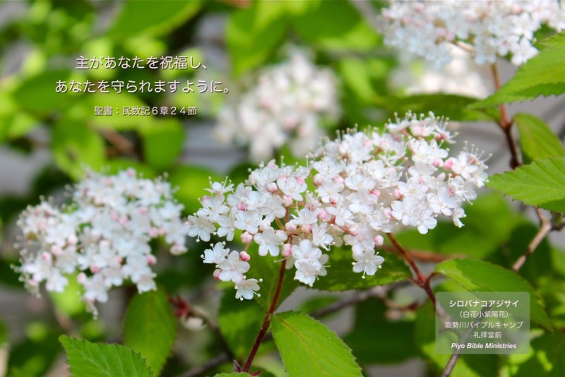 J5-3_Num_6-24_主があなたを祝福し