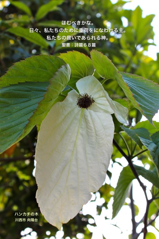 J5-4_Psa_68-19_重荷を担われる主