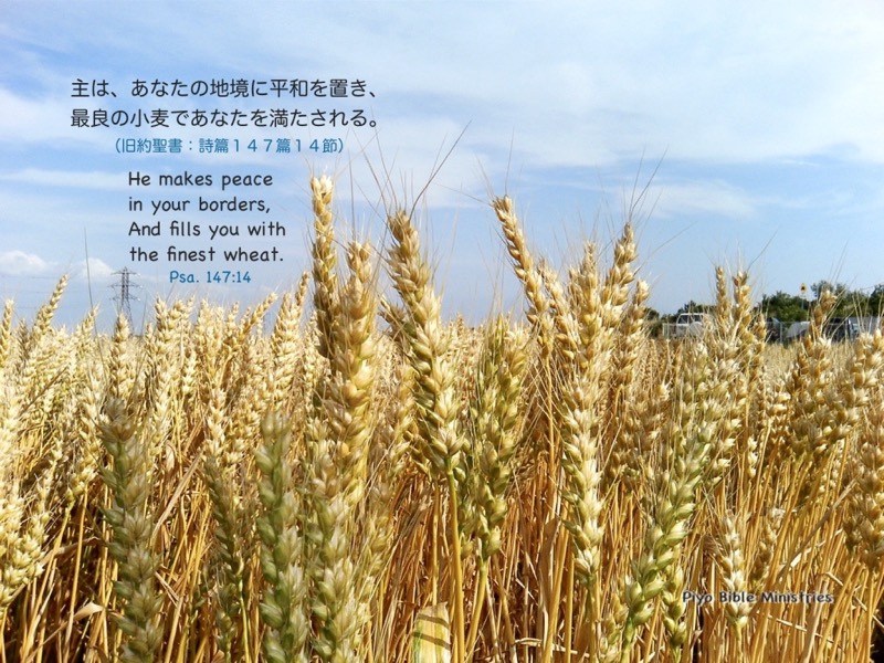 J5-10_Psa.147-14_あなたの地境に-C