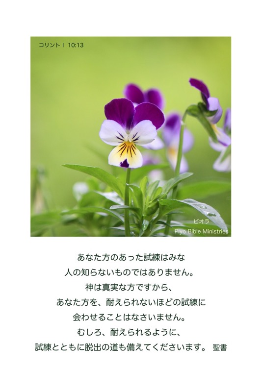 J5-11_1Cor.10-13_あなた方のあった試練は