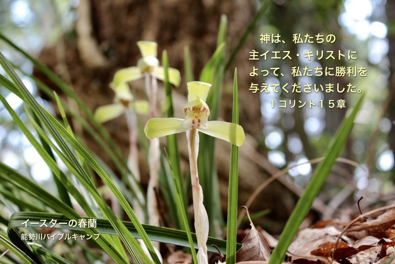 JE4-2_1Cor.15-57_私たちに勝利を