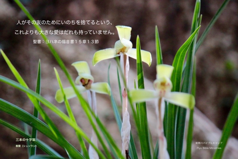 JE4-3_John_15-13_人がその友のために