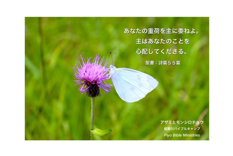 J6-1_Psa_55-22_あなたの重荷を主に委ねよ_b