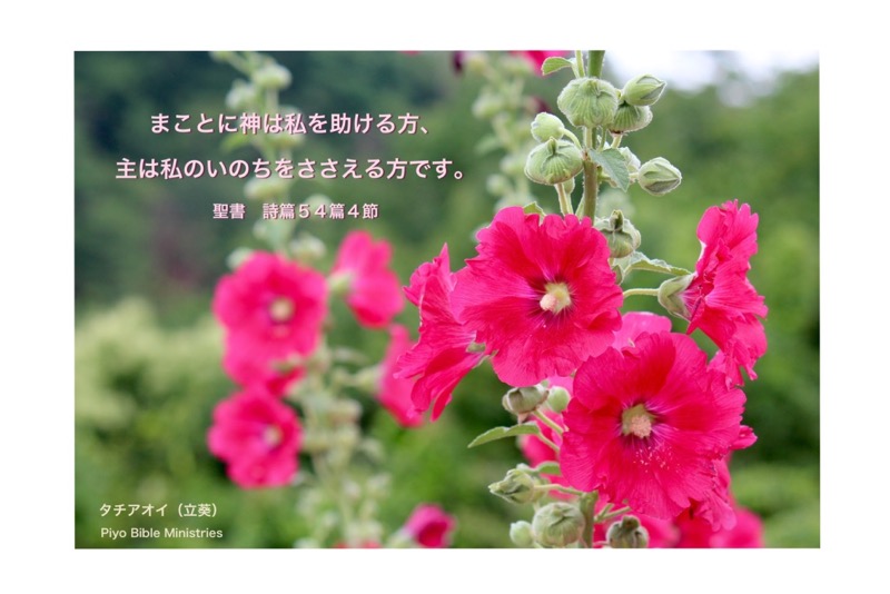 J6-6_Psa.54-4_私を助ける方