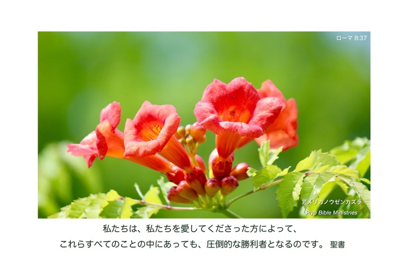 J6-7_Rom.8-37_圧倒的な勝利者