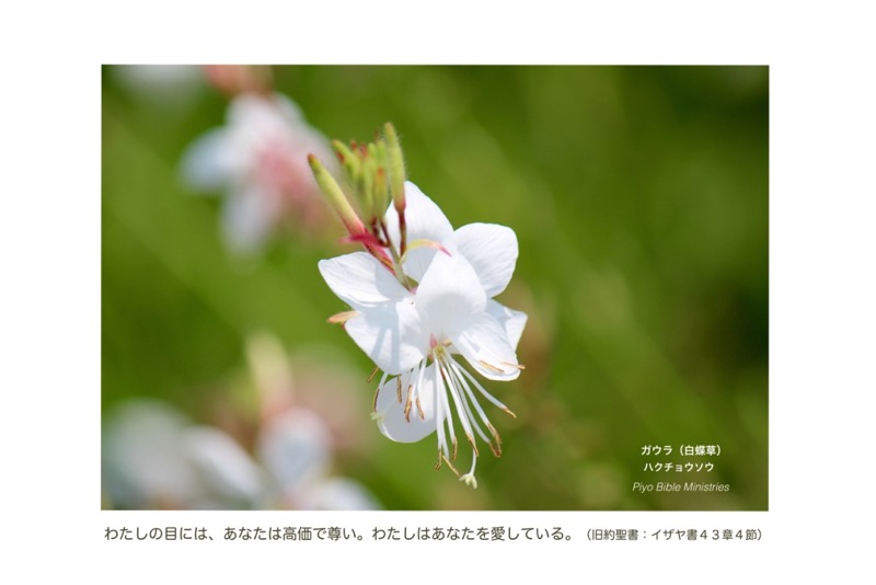 J7-1_Is_43-4_あなたは高価で尊い