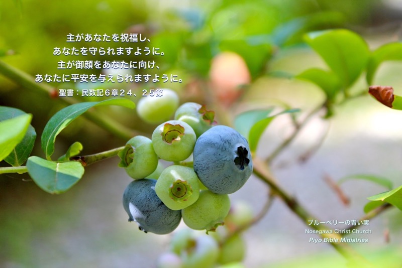 J7-2_Num-6-24_主があなたを祝福し