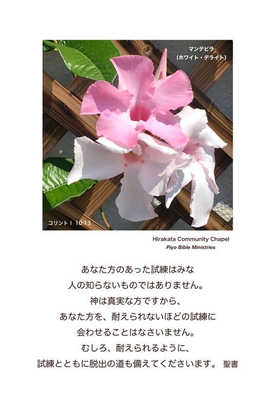J7-9_1Cor.10-13_あなた方のあった試練は_マンデビラ