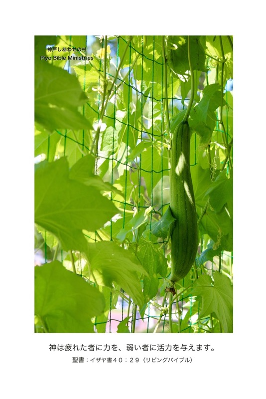 J8-2_Is.40-29_神は疲れた者に力を