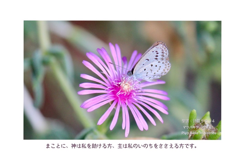 J8-3_Psa.54-4_まことに、神は私を助ける方