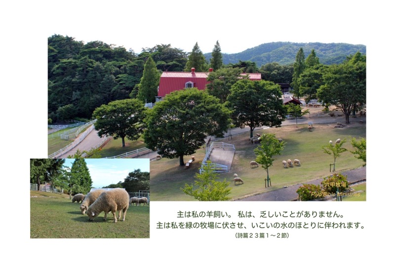 J8-8_Psa.23-1.2_主は私の羊飼い_B
