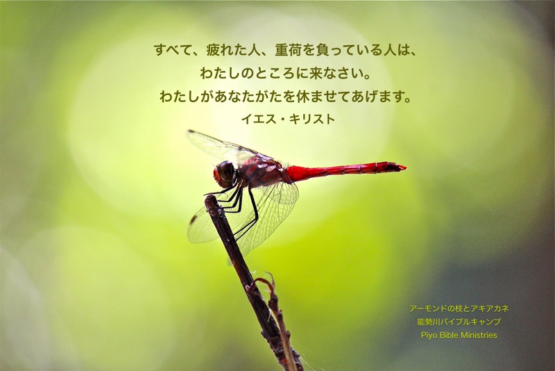 J9-4_Matt.11:28_すべて、疲れた人