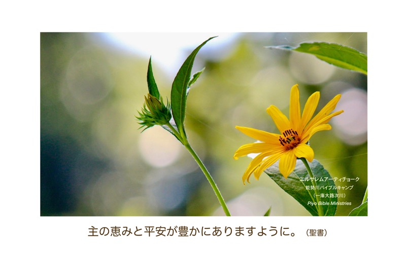 J9-5_2Th 1:2_主の恵みと平安が豊かにありますように（聖書）_エルサレムアーティチョーク