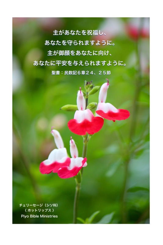 J10-2_Num_6-24-25_主があなたを祝福し