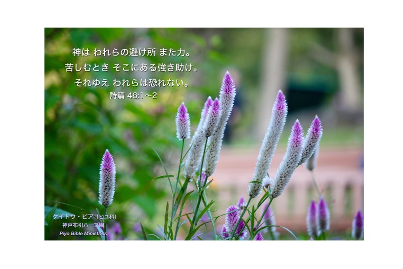 J10-3_Psa.46-1~2_神はわれらの避けどころ_ケイトウ・ピ