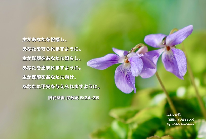 J12-3_スミレ-NBC_主があなたを祝福し