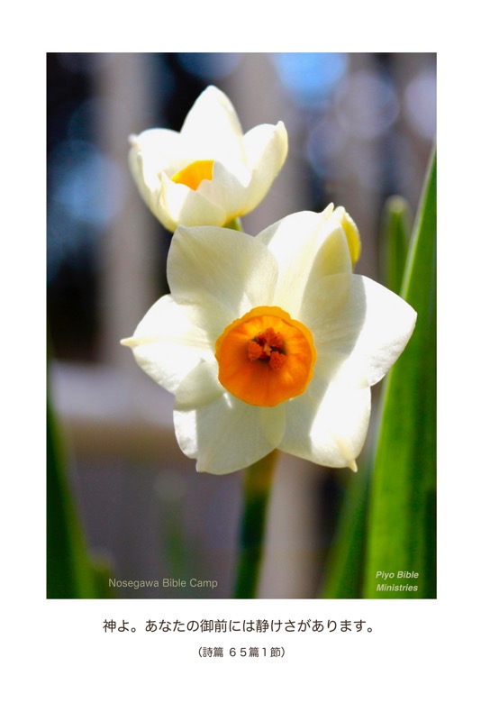 JPC3-1_Psa.61-1_神よ。あなたの御前には静けさがあります。