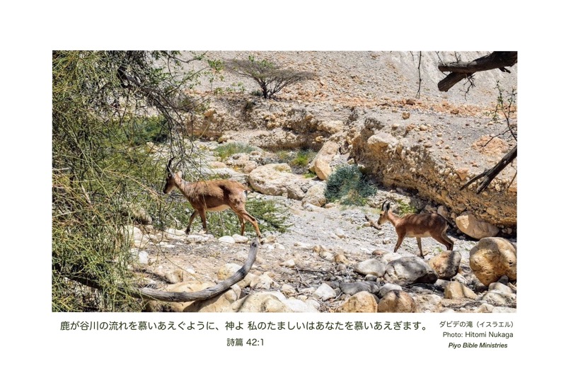JI8-1_Psa.42-1_鹿が谷川の流れを_ダビデの滝