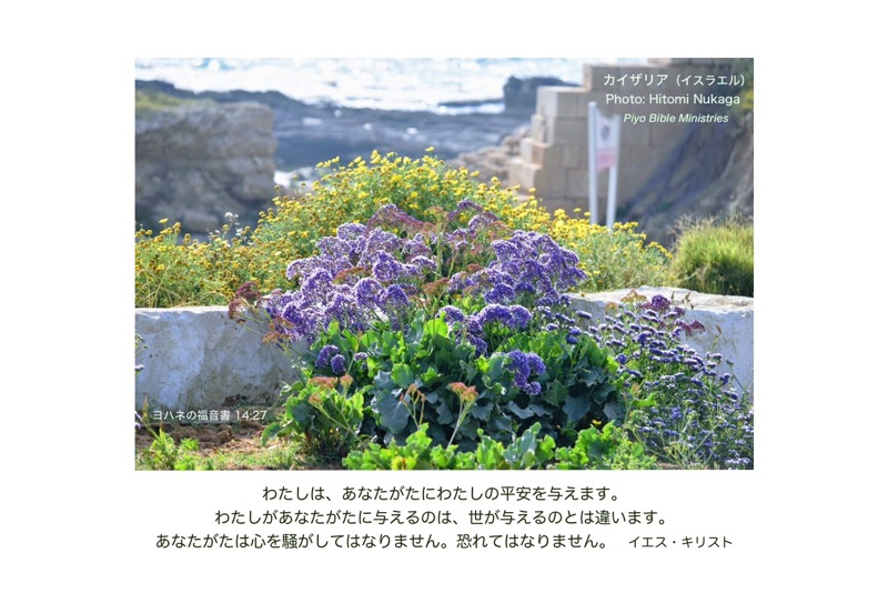 JI8-2_John.14-27_わたしの平安を与えます_カイザリア