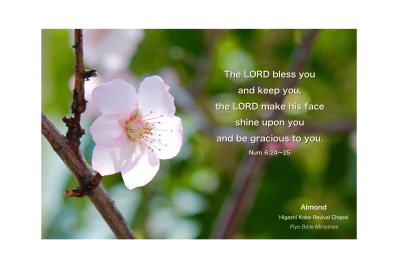 E3-2_Num.6-24_The LORD bless you_Almond