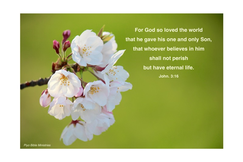 E4-1_John_3-16_For God so loved the world_c