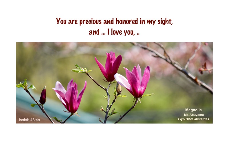 E4-3_Isaiah 43-4a_You are precious