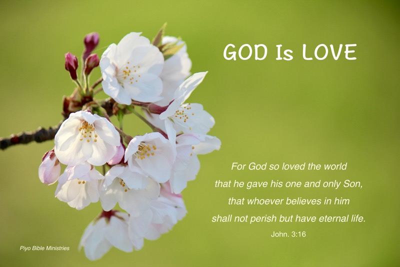 E4-6_John_3-16_For God so loved the world