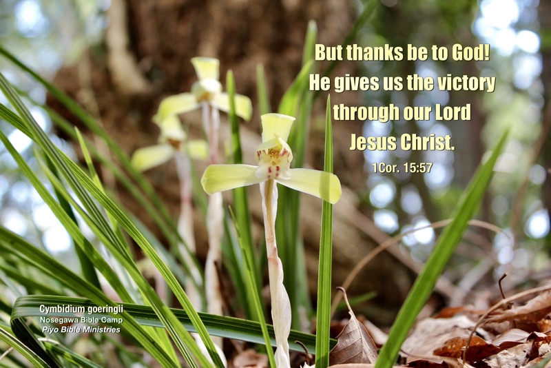 EE4-1_Cor. 15-57_But thanks be to God!