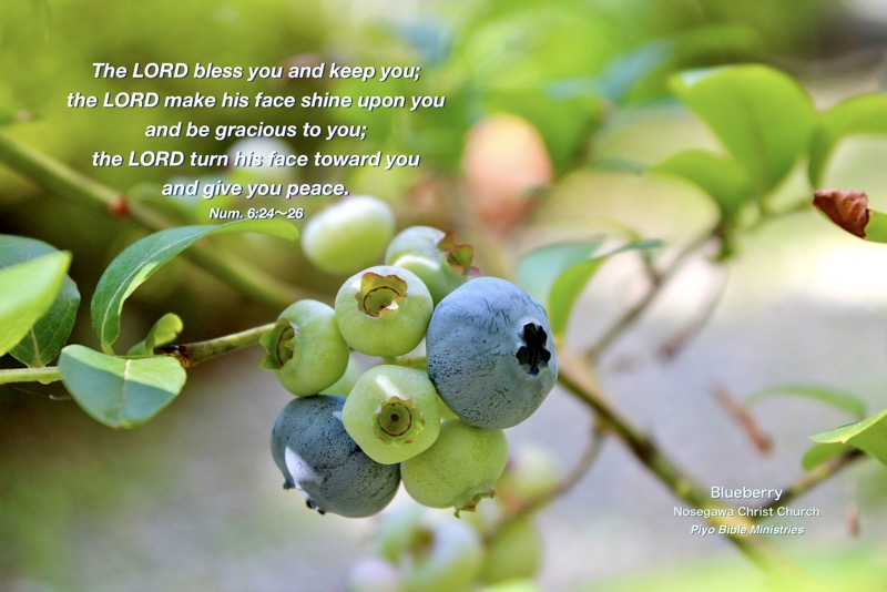 E7-1_Num. 6-24_The LORD bless you