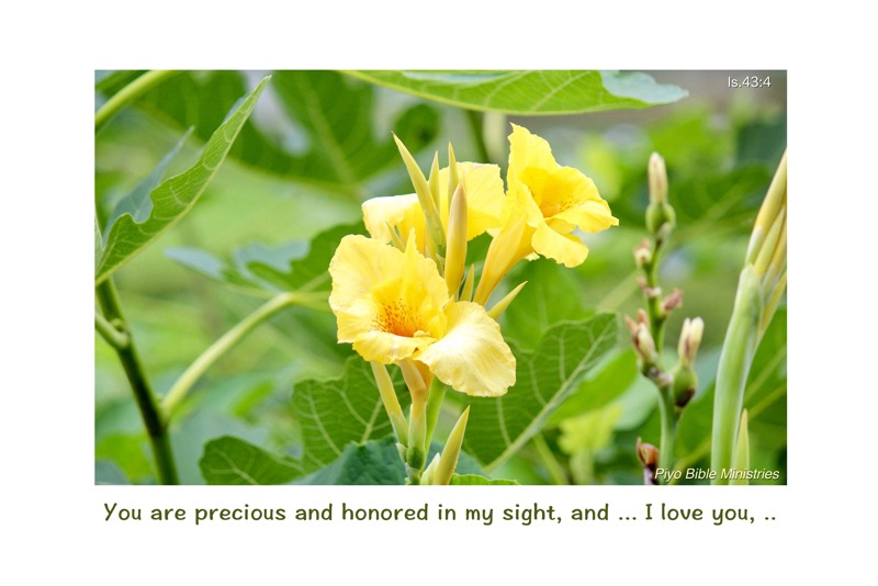 E7-2_Is.43-4_You are precious and honored