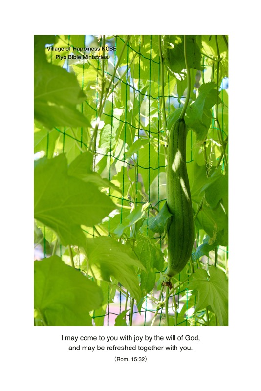 E8-1_Rom.15-32_I may come to you with joy