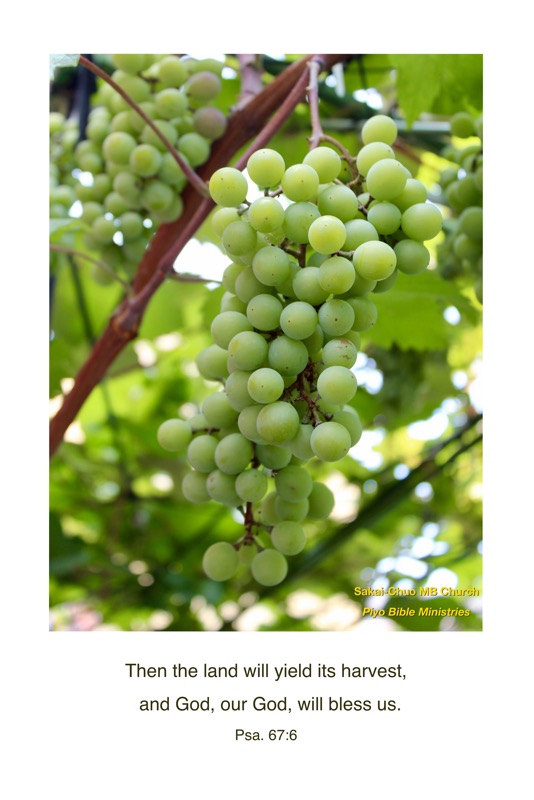 E8-3_Psa. 67-6_Then the land will yield its harvest