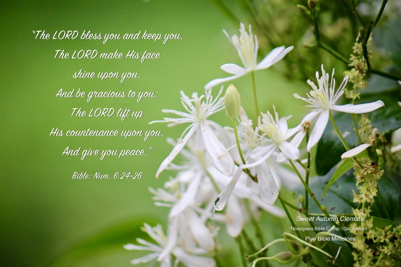 E9-1_Num_6-24~25_The LORD bless you_B