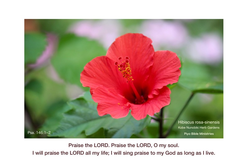 E10-2_Psa_146-1~2_Praise the LORD