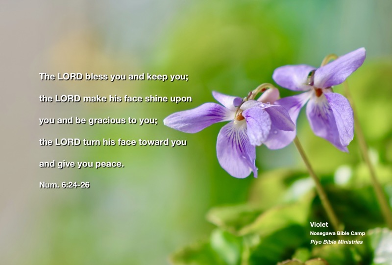 E-12-3_Violet-NBC_The LORD bless you